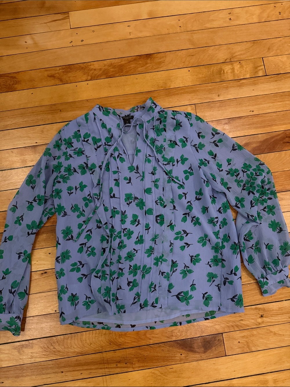 Ann Taylor Blouse